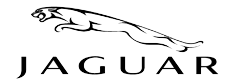22-CarLogo