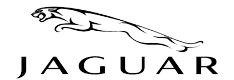 22-CarLogo