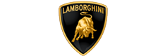 24-CarLogo