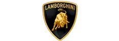 24-CarLogo